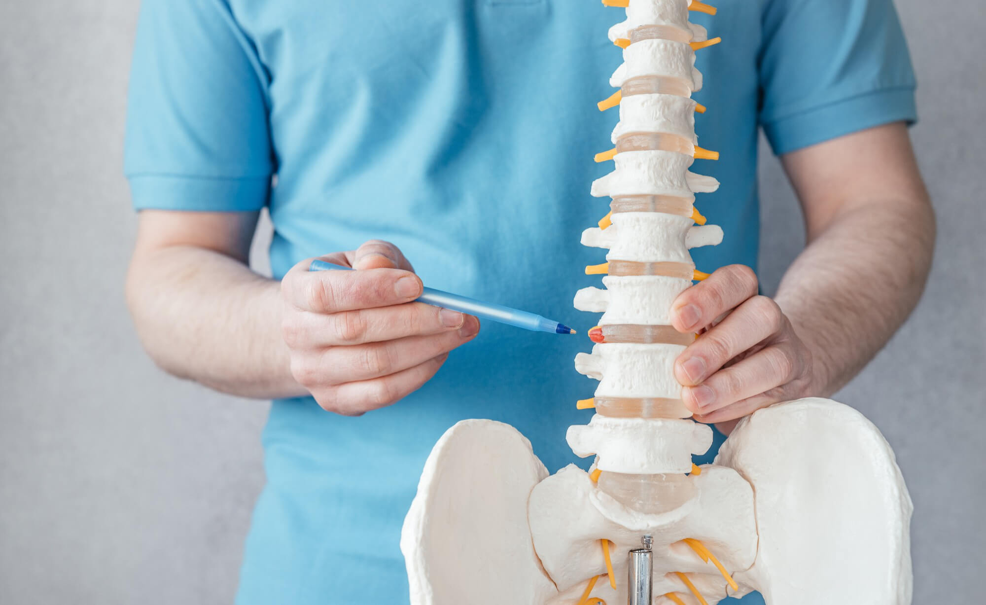 Spinal & Nervous System Health
